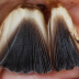 <em>Coprinellus micaceus</em> (Bull.) Vilgalys, Hopple & Jacq. Johnson