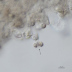 Vista lateral (pileus e estipe)