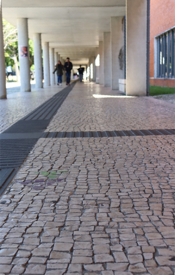 Figura 1- Pavimento em calcário na galeria do Campus Universitário de Santiago.