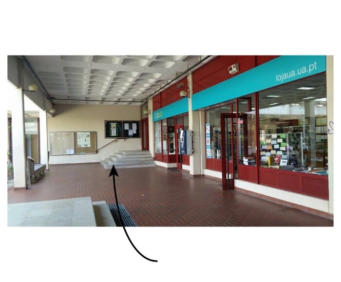 Calcário fossilífero com rudistas (1)