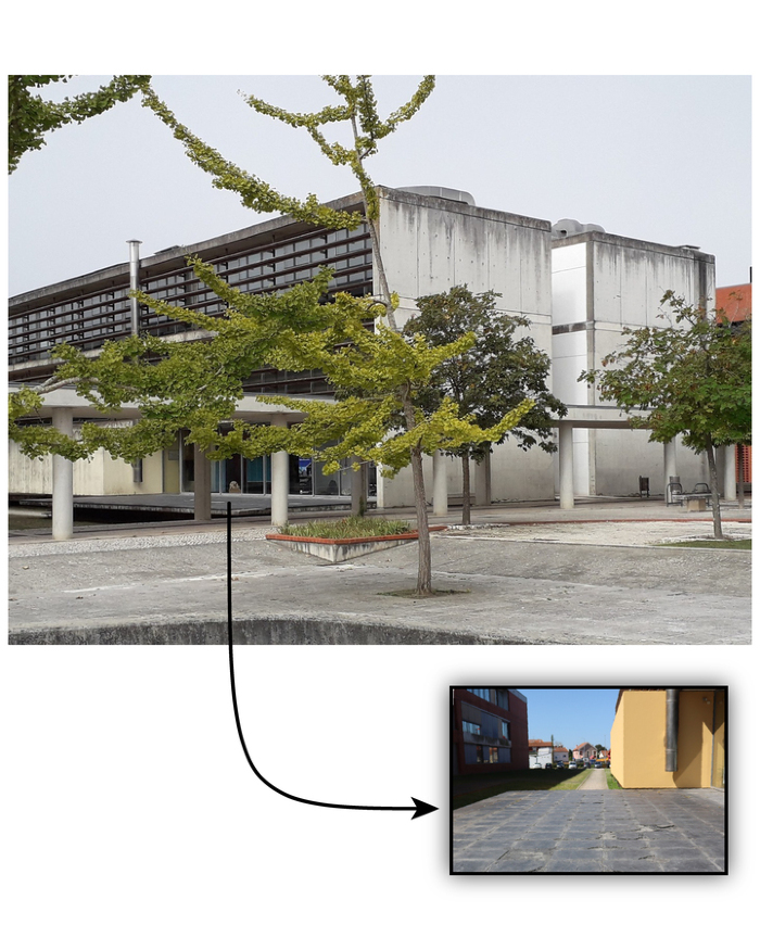 Figura 1- Pavimento em ardósia no exterior do Departamento de Geociências.